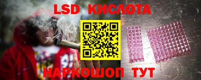 амф Кингисепп