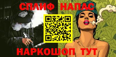амф Кингисепп