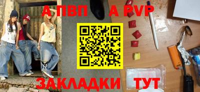 амф Кингисепп