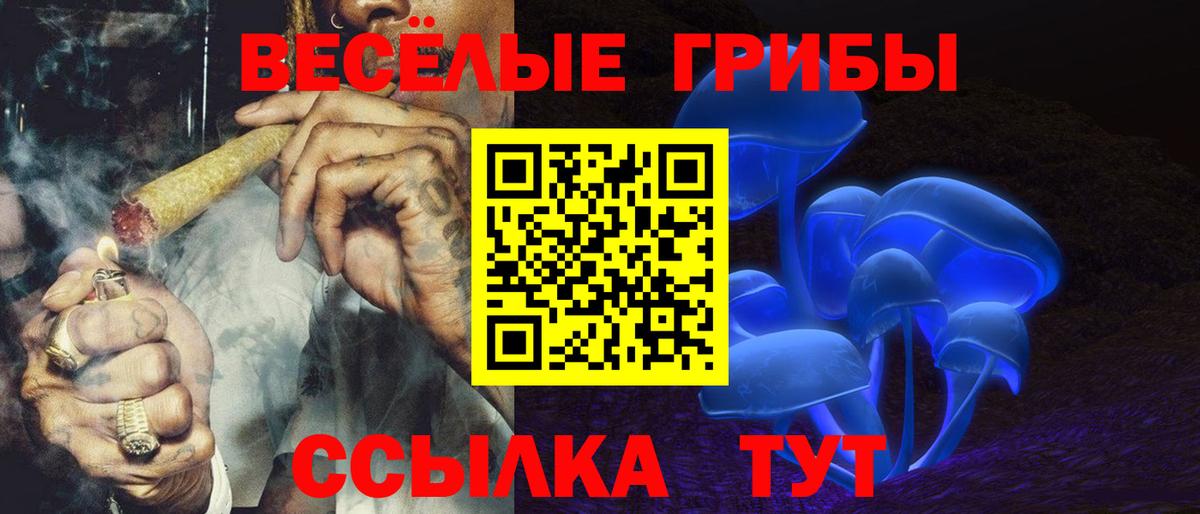 Галлюциногенные грибы MAGIC MUSHROOMS  Вход с VPN  Псилоцибиновые грибы мицелий  Каменка 
